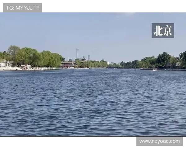 北京乒乓球队的节奏与发展趋势深度解析及未来展望 北京乒乓球队的节奏与发展趋势深度解析及未来展望