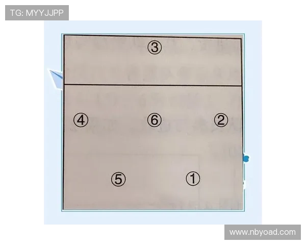 北京排球队的速度提升与战术创新探讨 北京排球队的速度提升与战术创新探讨