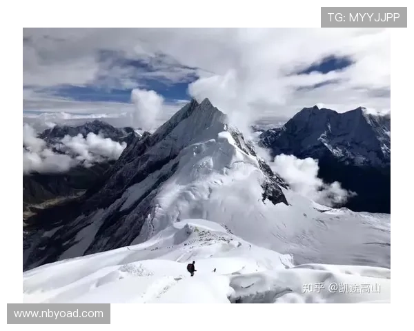 武汉网球队转型升级之路:重塑团队精神与竞技实力的全新探索 武汉网球队转型升级之路:重塑团队精神与竞技实力的全新探索